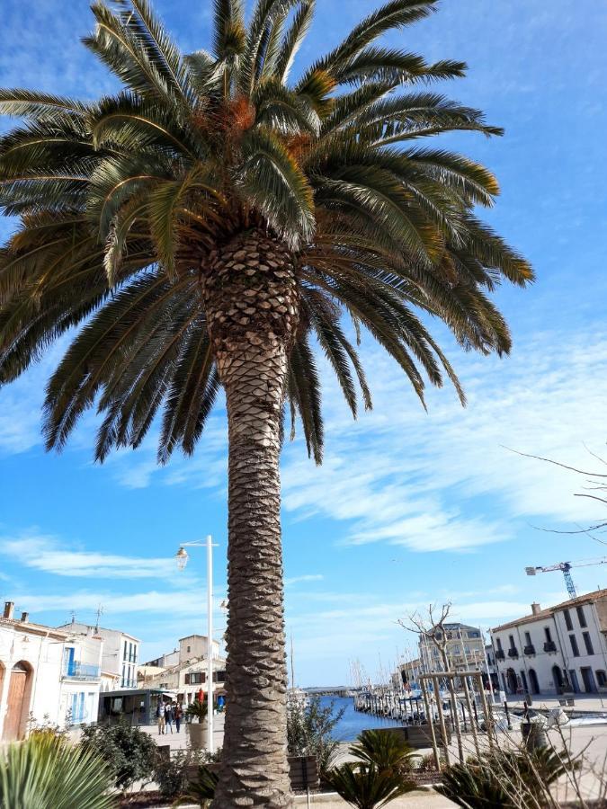 Appartement De Charme Sur Le Port De Marseillan Esterno foto