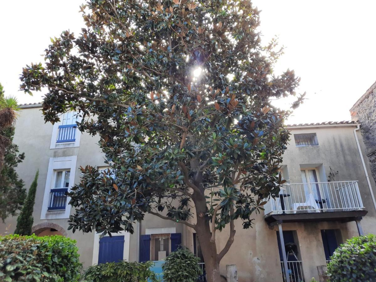 Appartement De Charme Sur Le Port De Marseillan Esterno foto